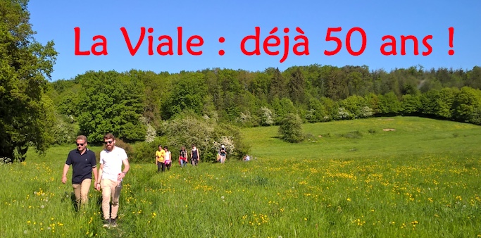 50_ans-1.jpg